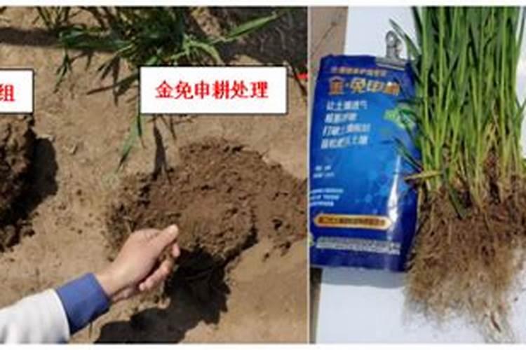 花脸果园重茬栽树怎么处理