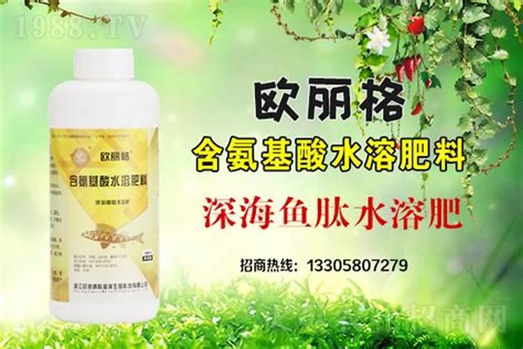 氨基酸水溶肥对于大豆生长会起到怎样的作用