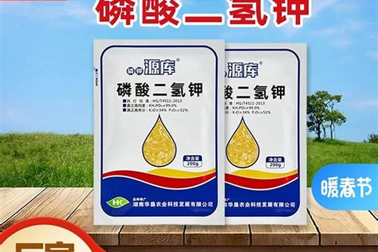 西瓜结果后施什么肥料
