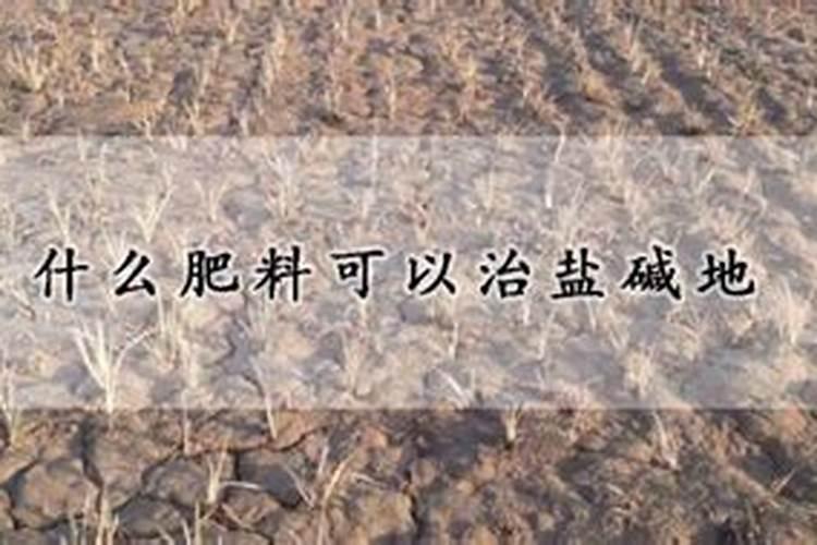 专治盐碱地的化肥