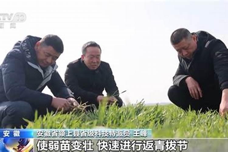 春夏季节什么行业是旺季