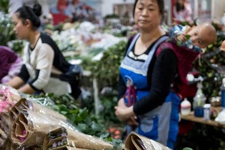 昆明卖鸟最多的地方 花鸟市场有哪些