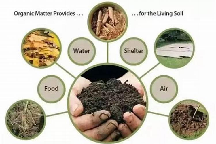 生物菌肥一亩地用多少