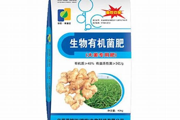 数字经济具有哪些基本特征