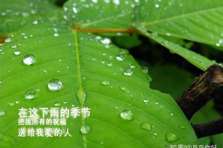 空调排出的水可以浇花吗