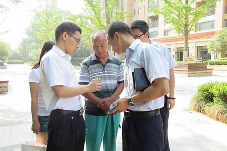 柠檬树买到家叶子都掉了,是要死吗