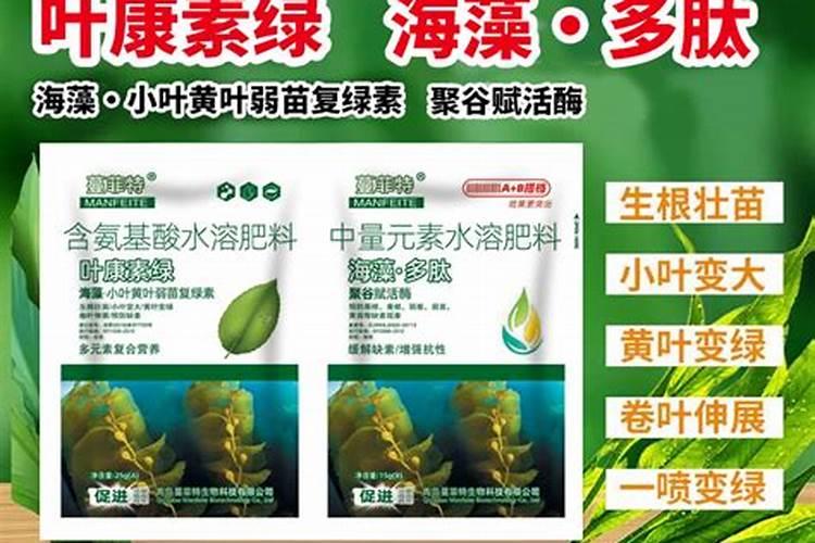 哪个牌子的叶面肥效果最好。