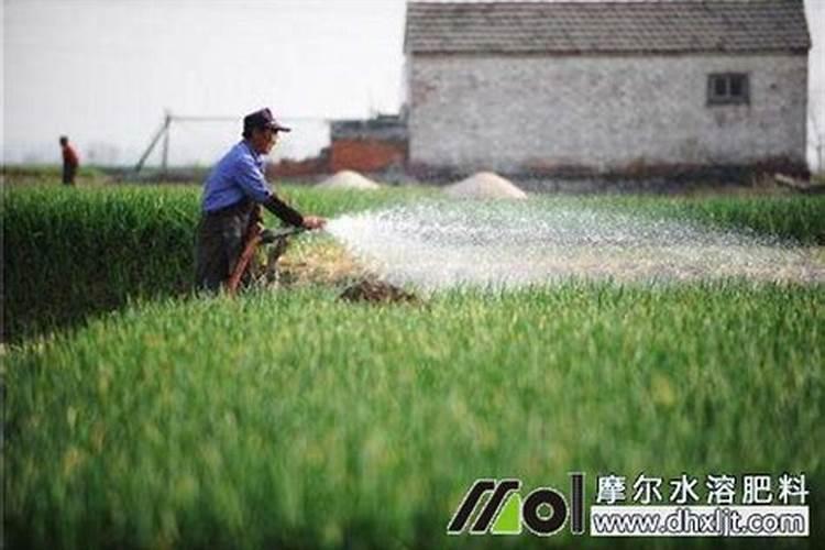 喷施和浇灌是一个意思吗？