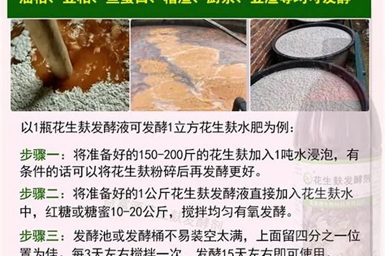 立春钓鱼用什么饵料