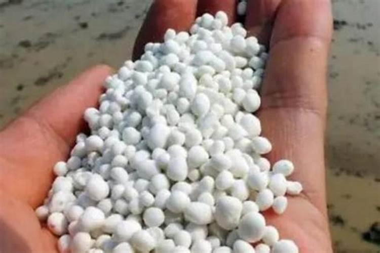我种的蒜叶子尖黄,是不是用河水浇的？