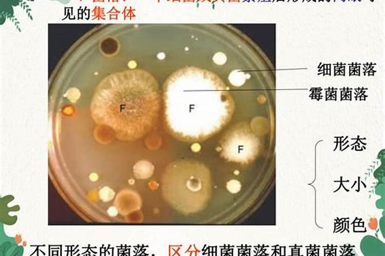 农用肥料有哪些