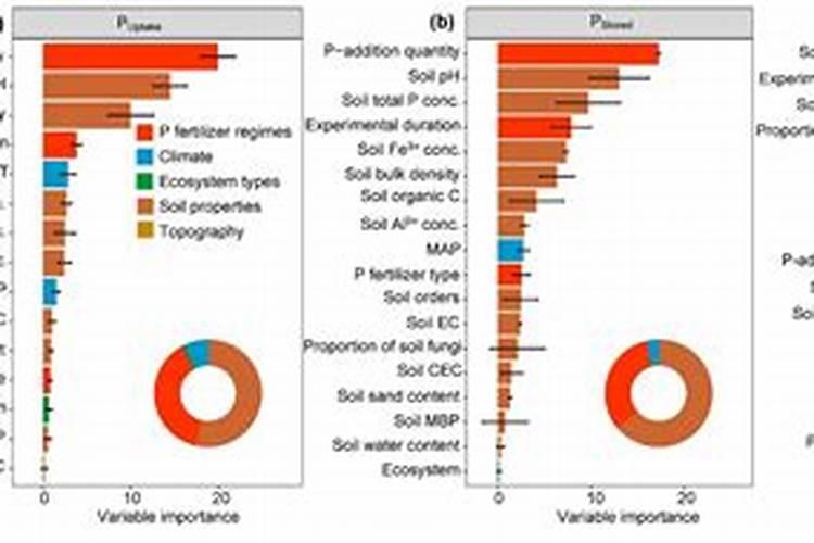 玉米苗发紫发红是什么原因？如何有效应对？