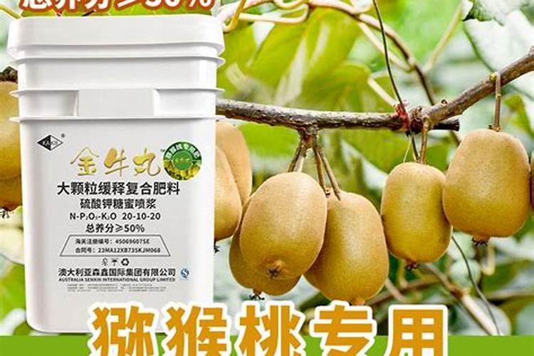 果树专用肥有哪几种