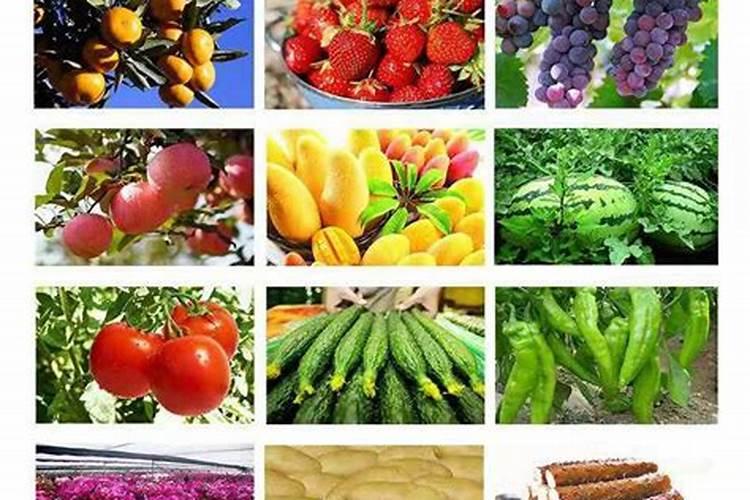 花生如何种植才能高产？分享花生斤半颗水溶肥助增产原因