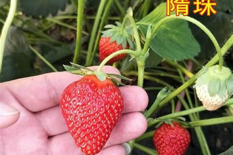 夏天要到了防晒怎么选？化学/物理/生物防晒剂的区别是……