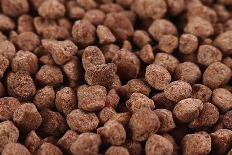 菠菜叶上为什么有淡黄色病斑？应该如何防治呢？