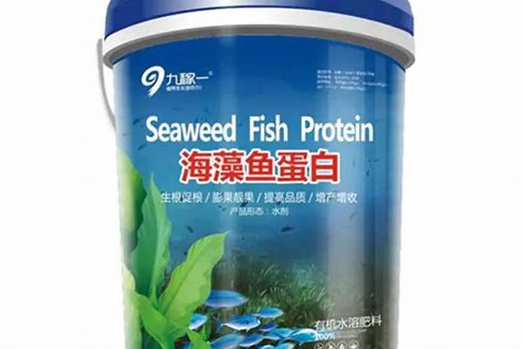 鱼蛋白水溶肥制作方法