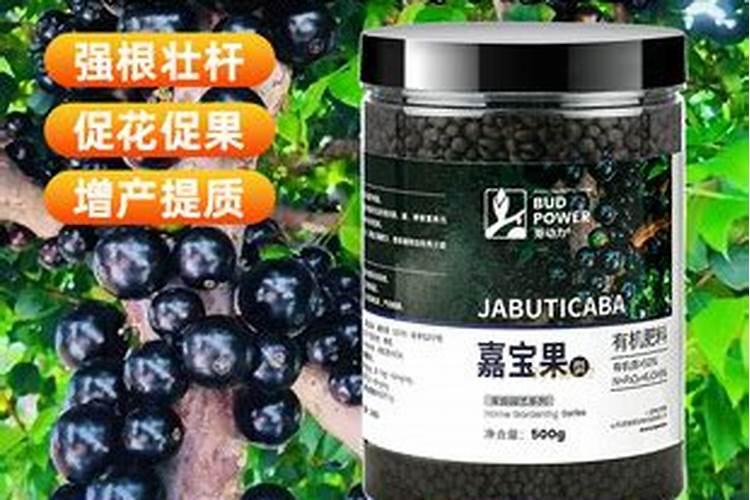 三角梅底肥放什么肥好