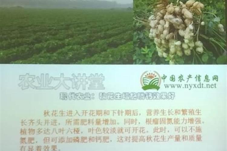 花生播种前多久施加底肥氮磷钾人工合成的复合肥最好？