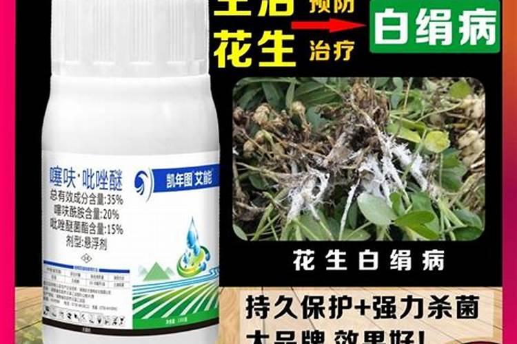 水培白掌烂根怎么办如何解决？