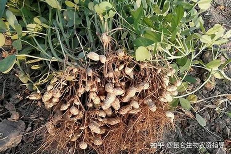 酶法多肽多少钱一瓶呀？