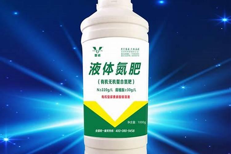 发财树放什么东西最旺盛 养发财树里面放什么好