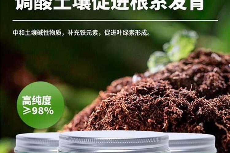 最适合茶花的3种酸性肥水