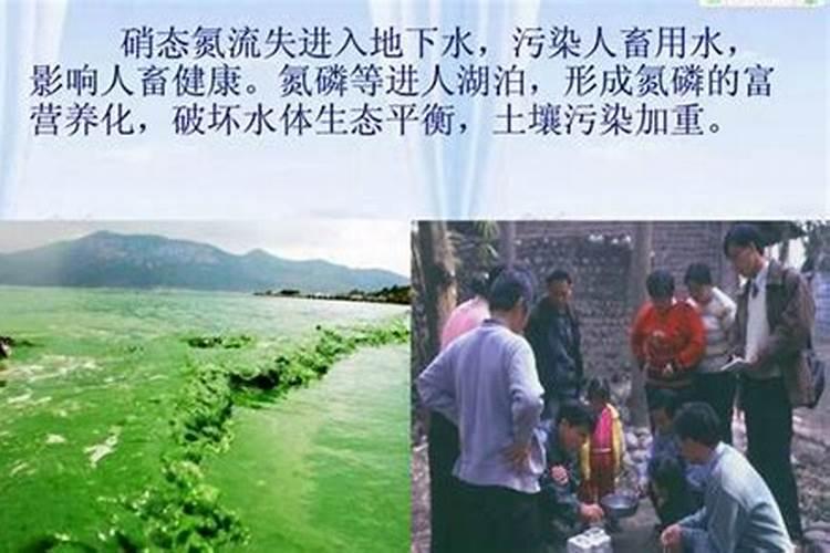氮肥对环境的危害