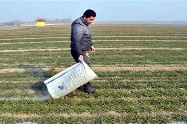 请问谁知道:草木灰可以和氮磷钾复合肥一起施用吗？