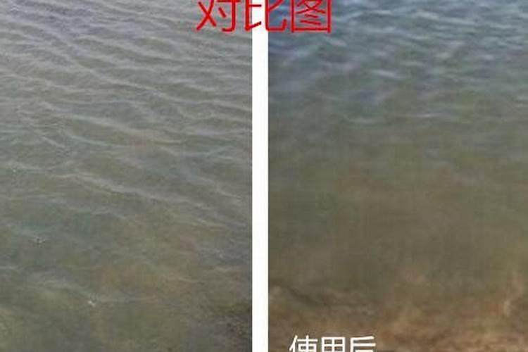水溶肥好坏怎么分