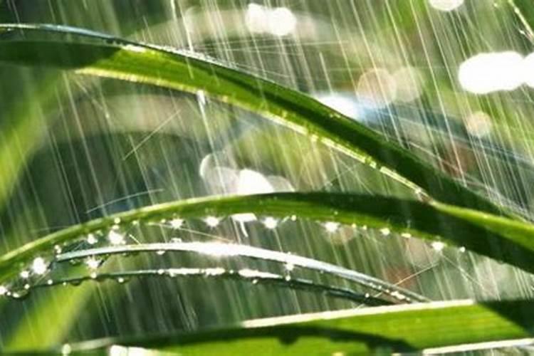 水溶性磷肥有哪些