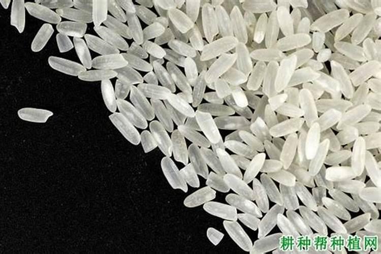 龙眼后期喷什么叶面肥好？