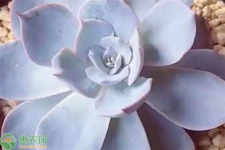 身体缺少综合维生素吃什么东西