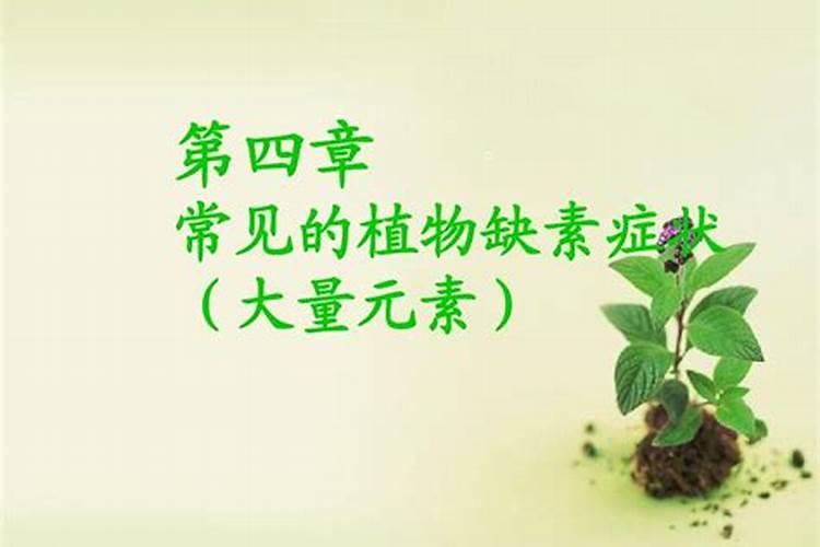 各种元素对植物的影响有哪些？