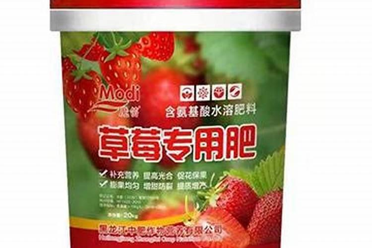 草莓专用肥是什么肥料 草莓施入氮磷钾肥的作用