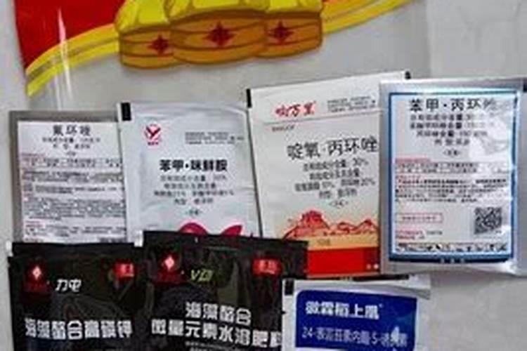 在水田淹水的这个时期,哪种氮肥是不应该施用的