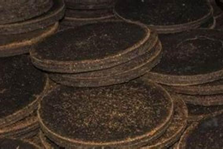 芒果树用什么肥料最好？