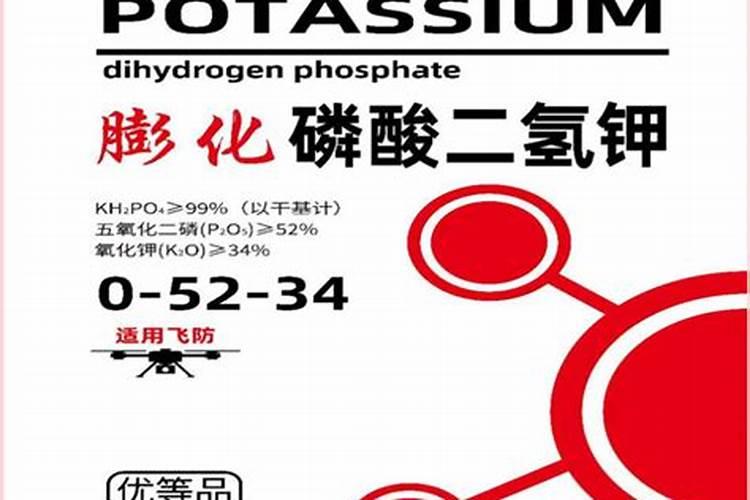 如何防治辣椒苗期病害