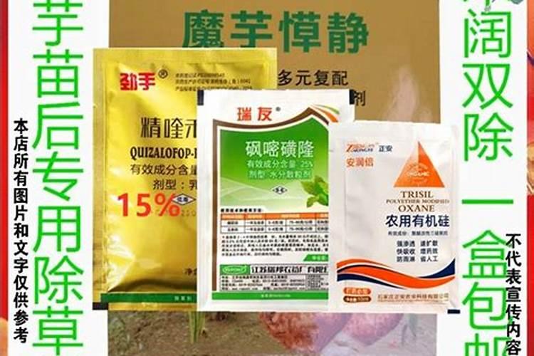 种过生姜的地第二年种魔芋好吗？