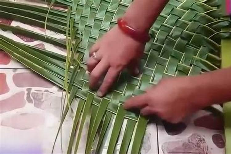 棕树施肥的方法 棕榈施肥的两种方法