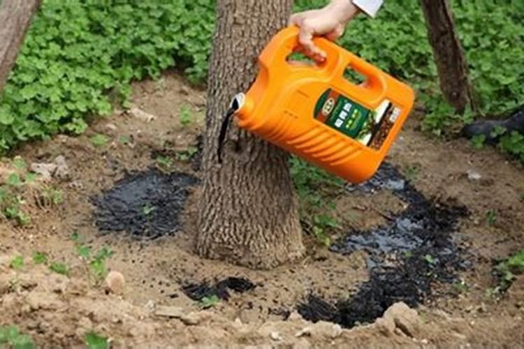 苹果树用什么肥料进行追肥