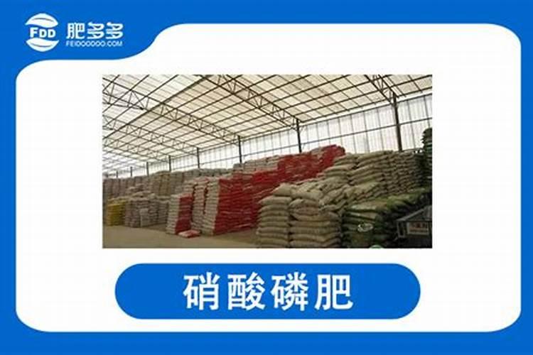 花盆土壤板结的危害及解决办法:勤松土适当施肥