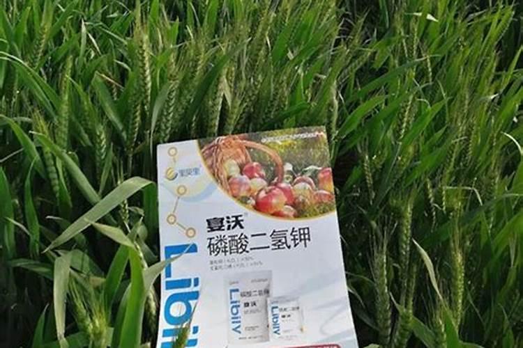 中钾水溶肥有什么作用