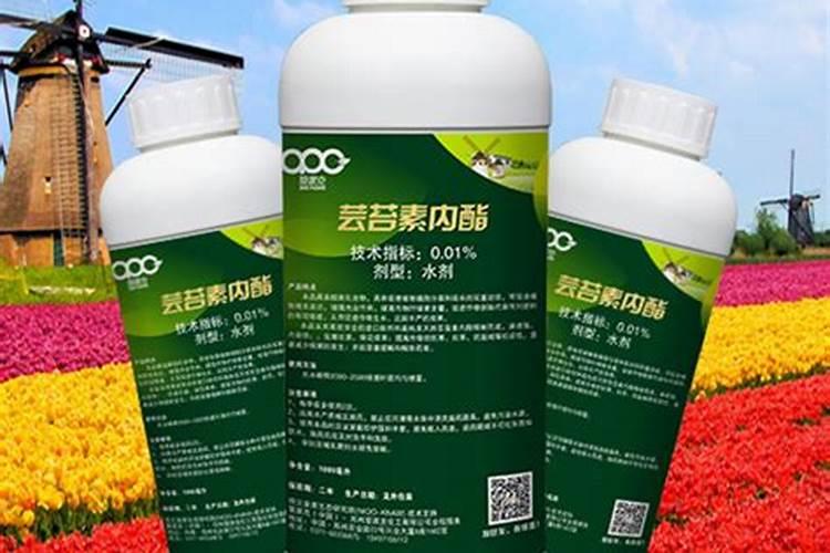 芸苔素内酯那个牌子好？