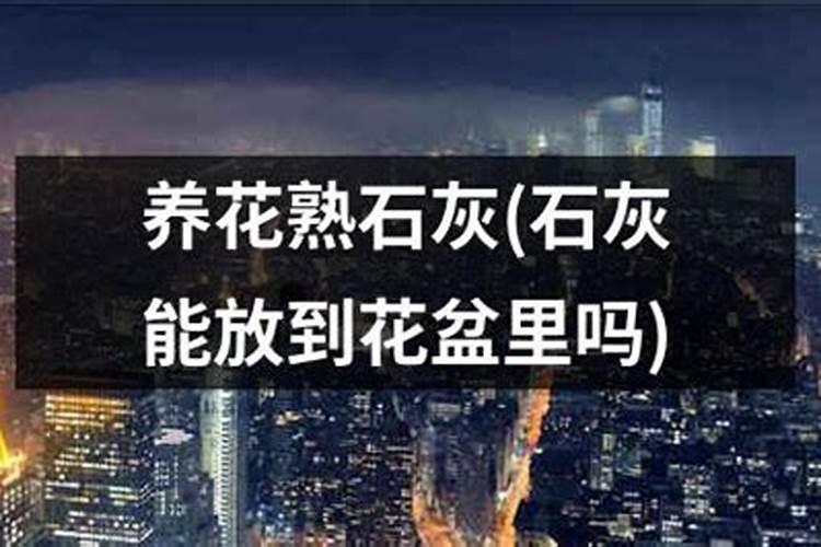 浇花水质太硬怎么办？如何提高养花的水质？