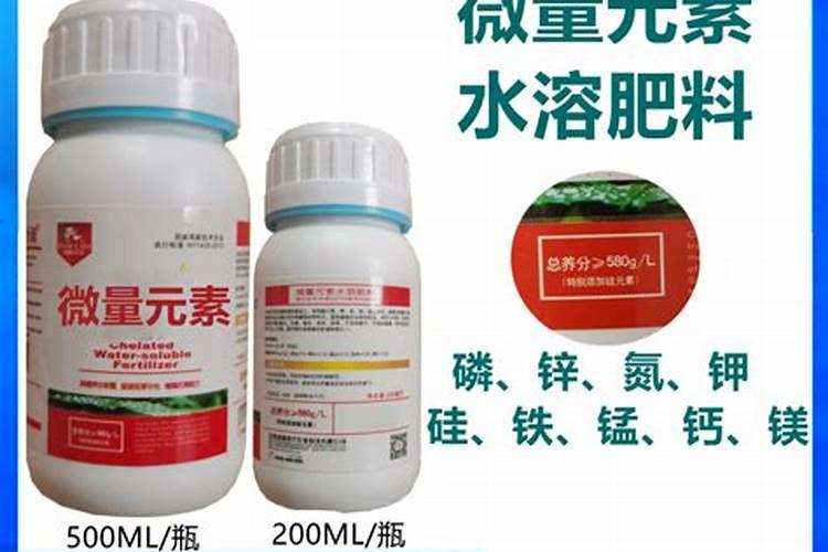 三月份柑橘需要施肥吗