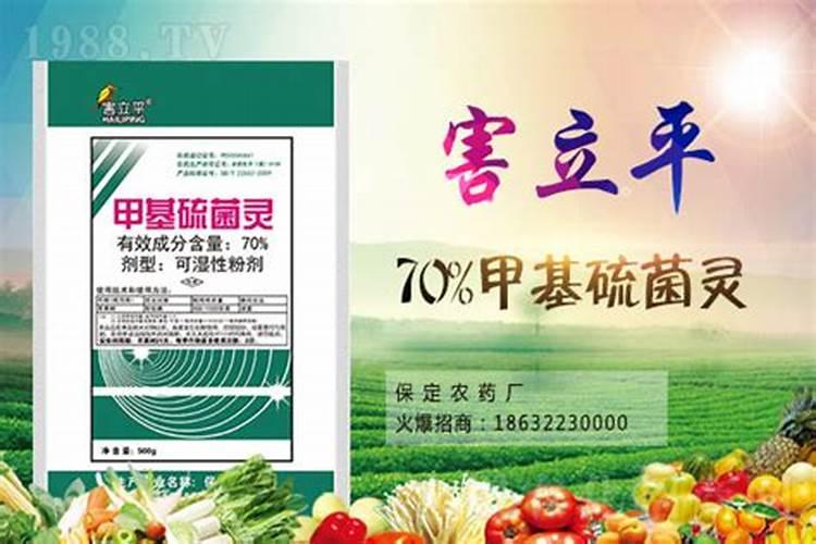 黄瓜打什么药长得好又高产