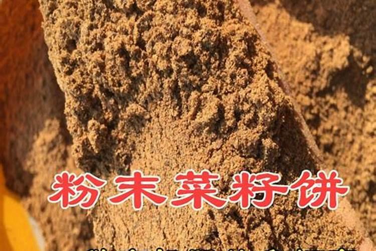 菜籽饼可以直接埋土里吗