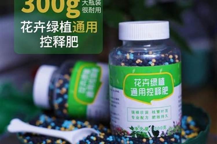 控适肥什么时候上最好