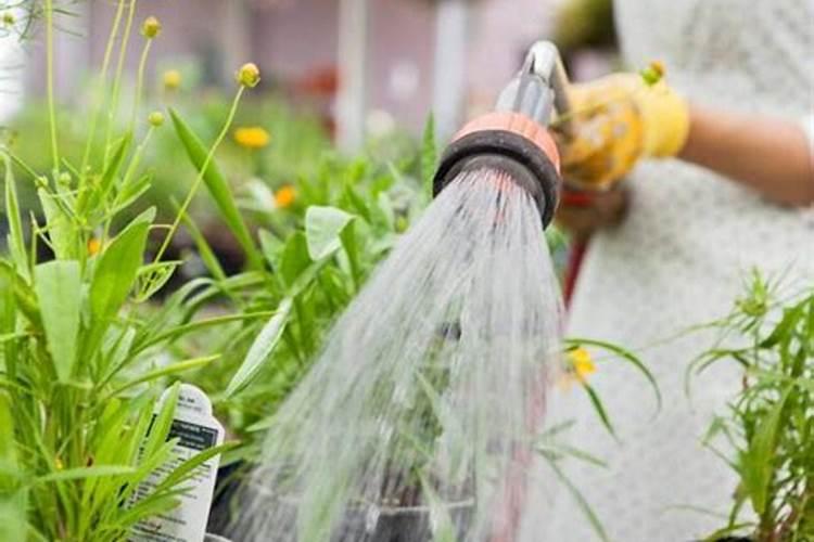 可以直接把磷酸二氢钾倒进花盆浇花吗。